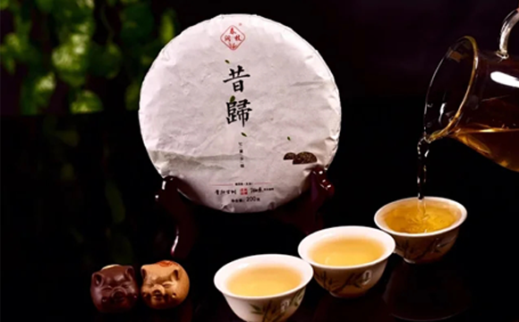 昔归（生茶）