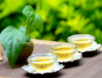 茶艺美文鉴赏·芳踪