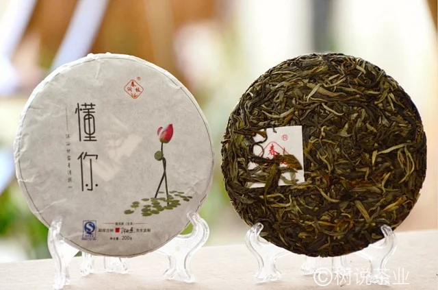 懂你（生茶）