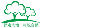 云南树说茶业-春润枝普洱茶