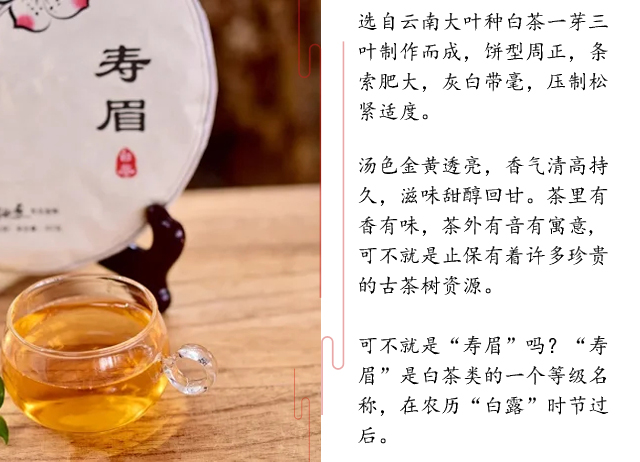 寿眉4.jpg
