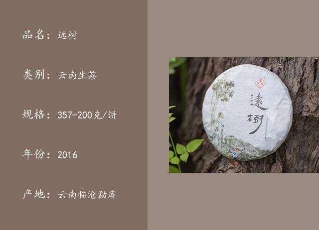 远树3.jpg