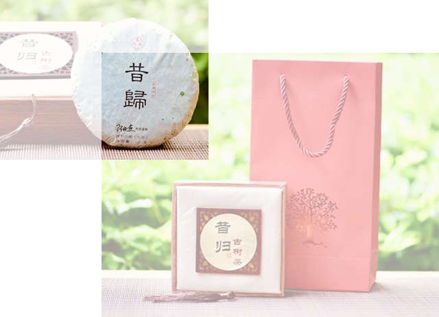 2019秋昔归4.jpg