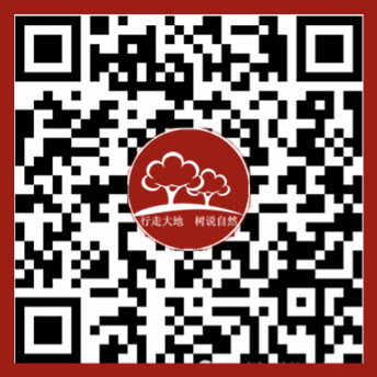 二维码..png