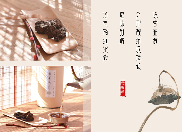 老茶头4.png