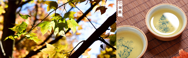 秋与茶.png