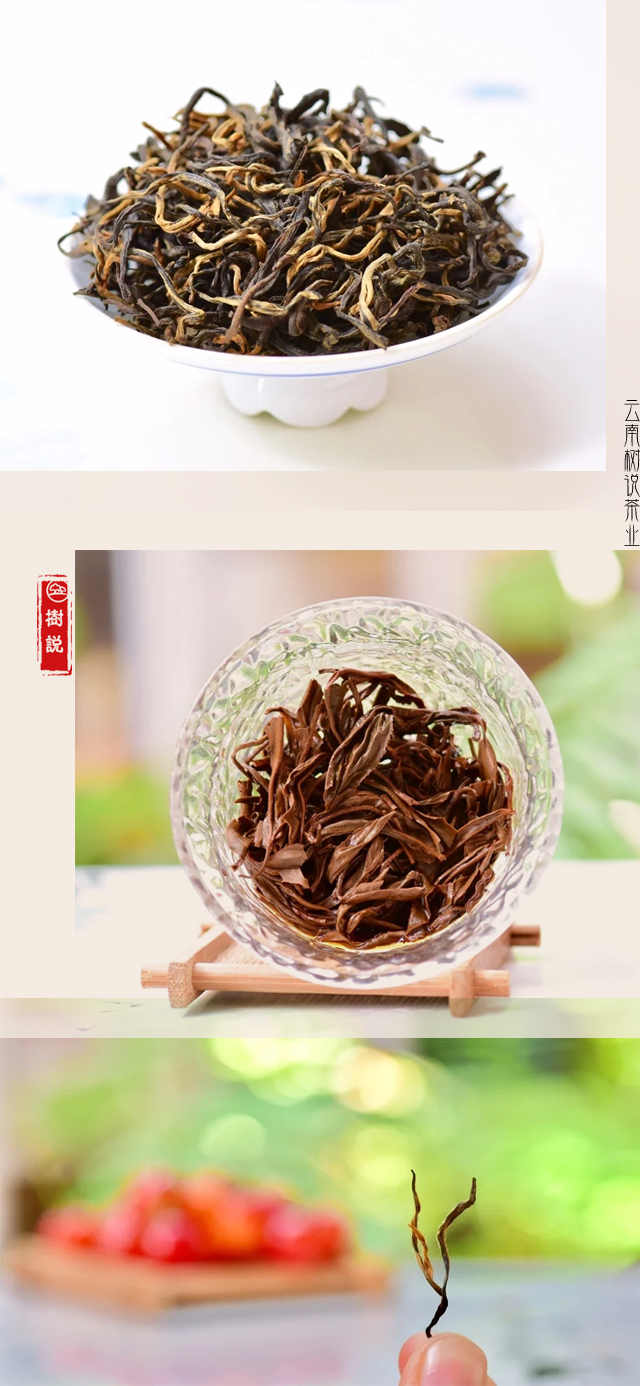 古树红4.png