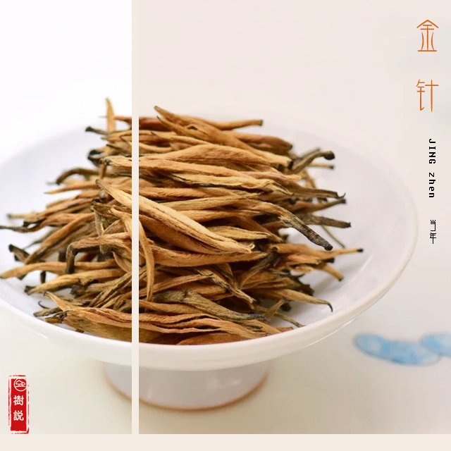 古树金针1.png