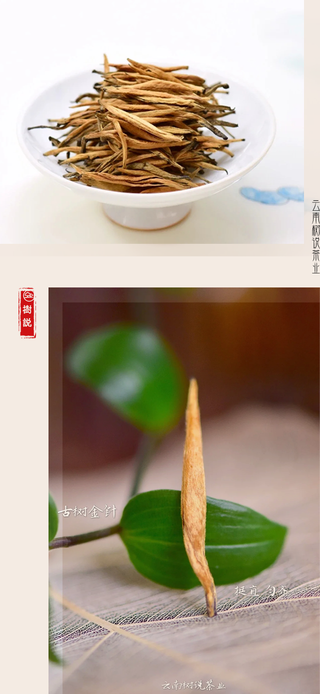 金针4.png