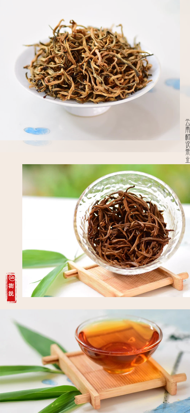 金丝蜜芽4.png
