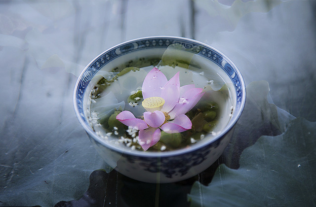 荷花.jpg