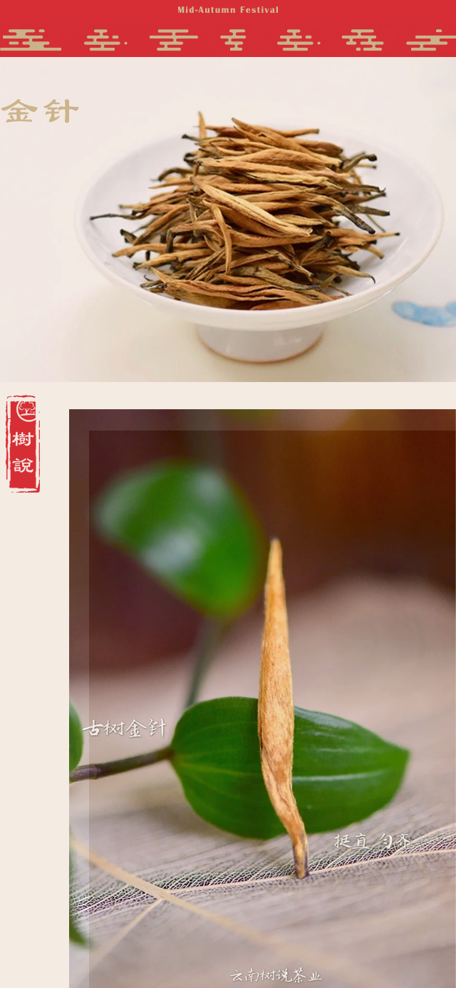 中秋金针.png
