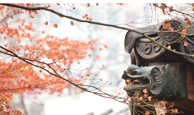 景1.png