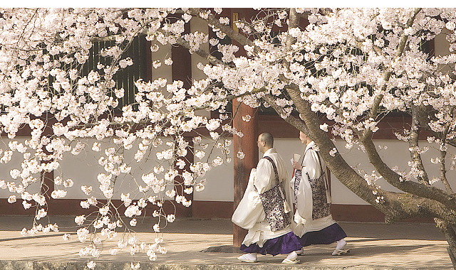 景2.png